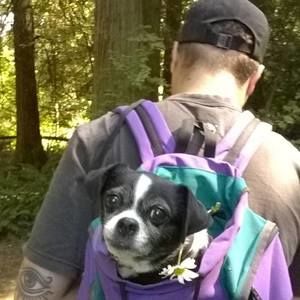 Meet your Posher, Kevin